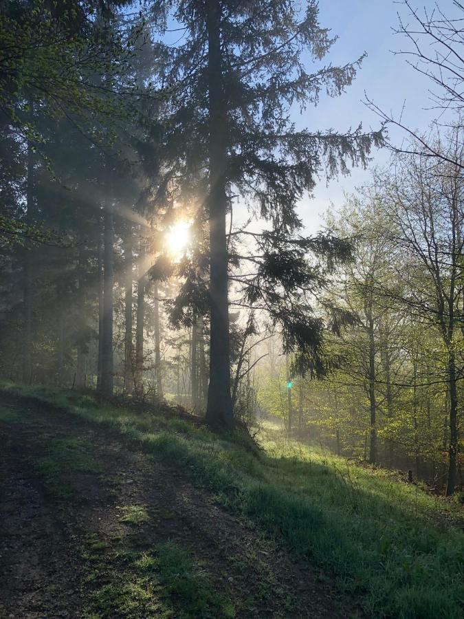 Villa Hainberg Rauschenbach Zewnętrze zdjęcie